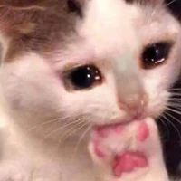 แอดเอง