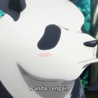panda