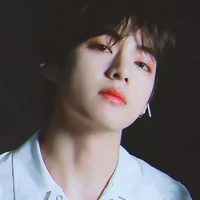 ~🐯Kim Taehyung🐯~ {MC}