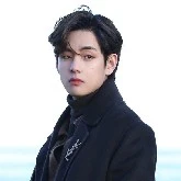 V Bts
