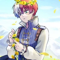 Shoto Todoroki *Omega p*