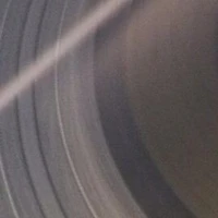 𝐒𝐞𝐧𝐬𝐨𝐫