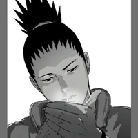 ☁shikamaru☁