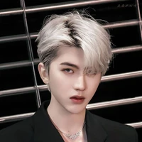 คิม(พอในนิยาย)