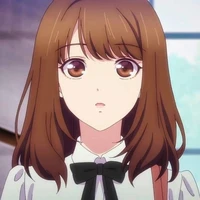 Y/N