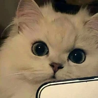ทุกอยาง