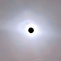 สัตว์ประหลาด THE EYE