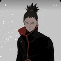 shikamaru * alfa *