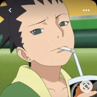 shikadai