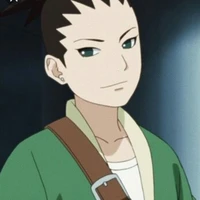 นารา ชิกาได