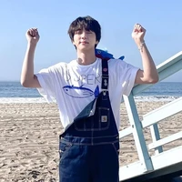 ดาวเหนือ