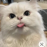 คนเขียน