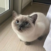 ระบบ