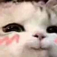 ตปก.หญิง