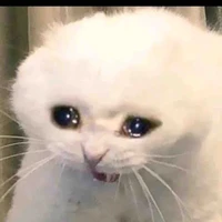 พระเจ้า