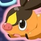 Tepig