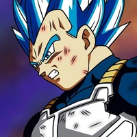 Vegeta ssj Blue Evolution