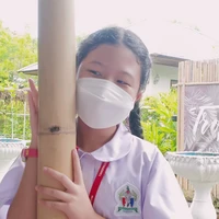 ใบชา(นางรอง)