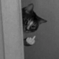 เเอดเองง