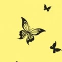 나비🦋