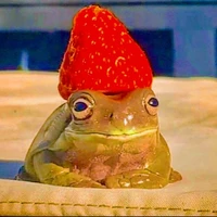 Frogge