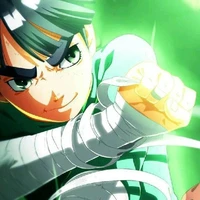 metal lee