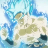 GOKU CC