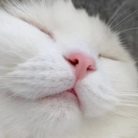 แอดคนสวย