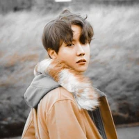 Hobi