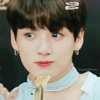jeon Jungkook  ( jk )