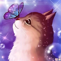Muffin (Nia