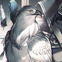 Aquila