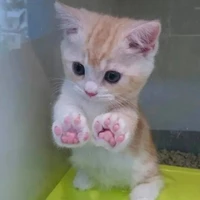 อีแอด
