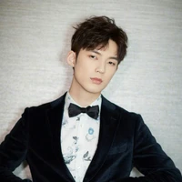 Wang lei