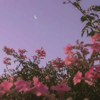 unknown