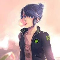 marinette