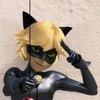 cat noir