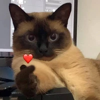 °^°