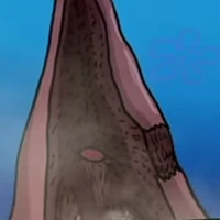 Patrick(Titan)