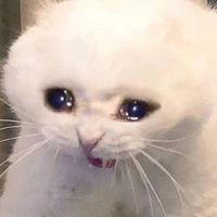 พวกพระเอกทั้งหมด