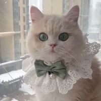pompom(ปอมปอม)🦴