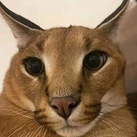 ตปก