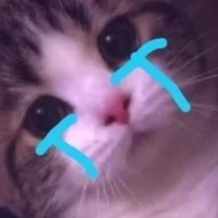 แอดเองง