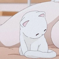 Narrator Cat