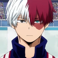 todoroki