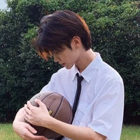 ดาวเหนือ