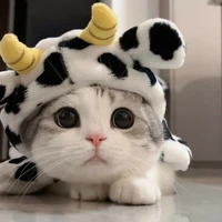 โอเด้ง~😺