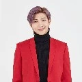 Namjoon hyung