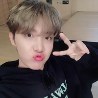 hobi