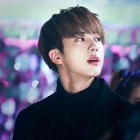 Jin / Seokjin